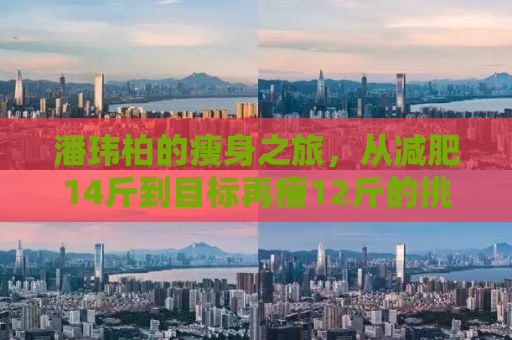 潘玮柏的瘦身之旅，从减肥14斤到目标再瘦12斤的挑战